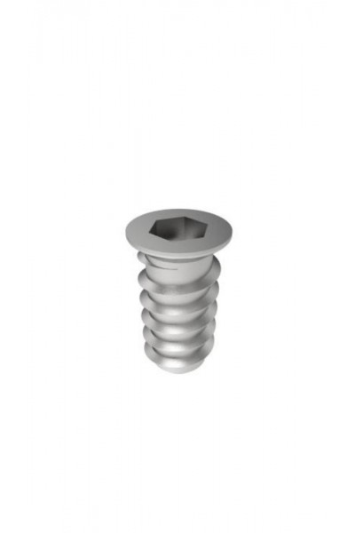 Metal Dübel M6 x 20mm (MTLDBL-005) Metal Dübel M6 x 20mm (MTLDBL-005)